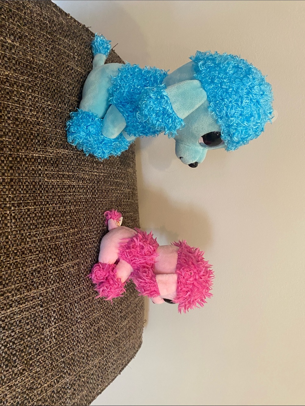 Big Mandy & Little Patsy - Picture 4 of 4
